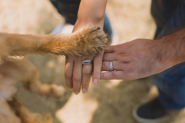 brand loyalty through engagement