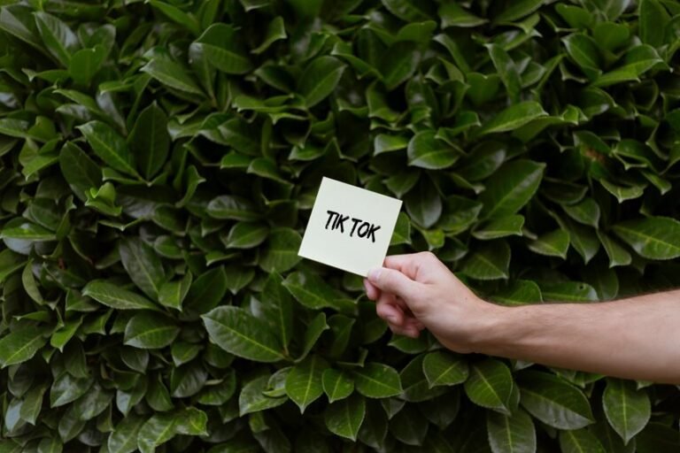 establishing your brand online